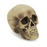 D√©coration cr√¢ne plastique 18 cm  