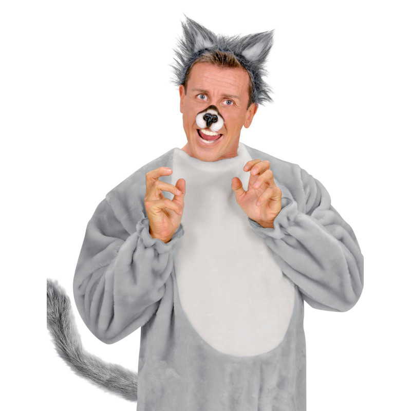 Queue de loup adulte  