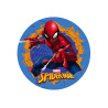 Disque en azyme Spiderman bleu 20 cm  