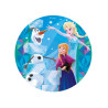 Disque azyme La Reine des Neiges  20 cm  
