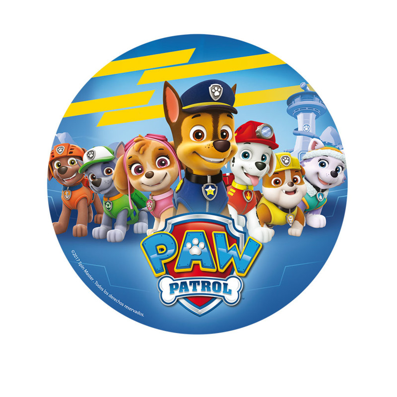 Disques azyme 20 cm Pat'Patrouille - Paw Patrol  