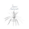 Centre de table Joyeux Anniversaire  
