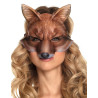 Loup renard adulte  