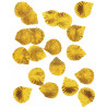 288 P√©tales dor√©s  