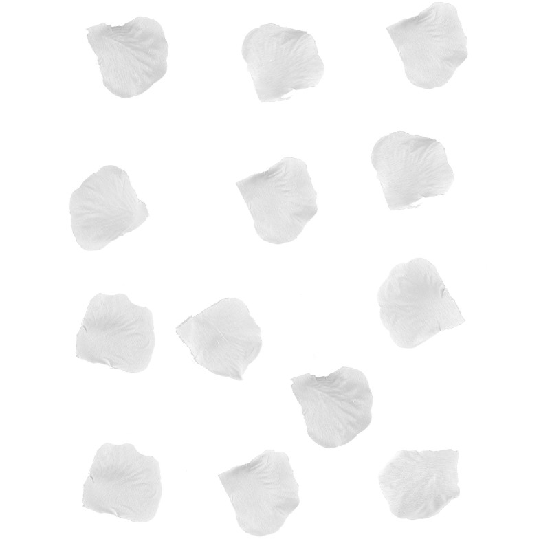 288 P√©tales blancs  