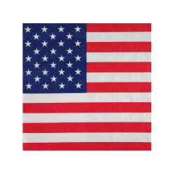 20 serviettes en papier Am√©rique 33 x 33 cm drapeau USA  
