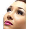 Faux cils courts noirs adulte  