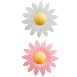 8 D√©corations pour g√¢teau fleurs azyme  