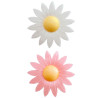 8 D√©corations pour g√¢teau fleurs azyme  