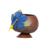 Coupe Hawa√Ø noix de coco tropicale  