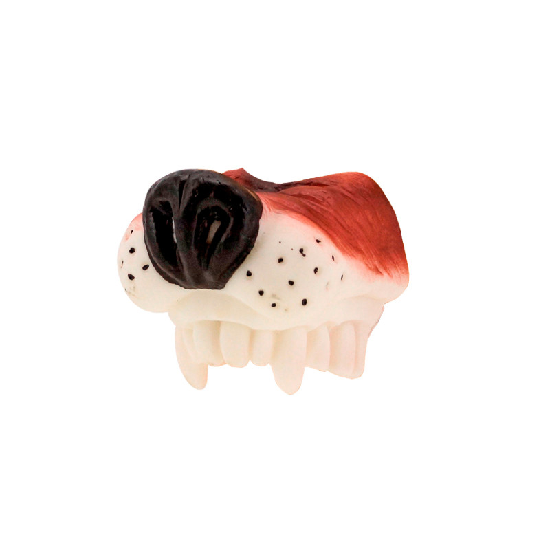 Nez chien adulte  