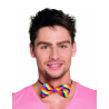 Noeud papillon multicolore adulte  