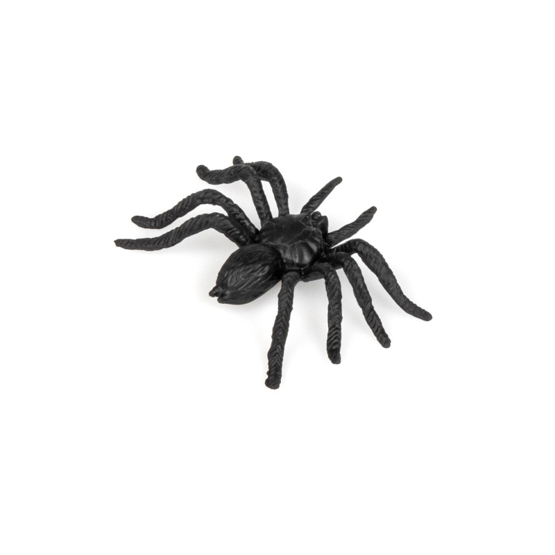12 Araign√©es Halloween  