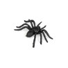 12 Araign√©es Halloween  
