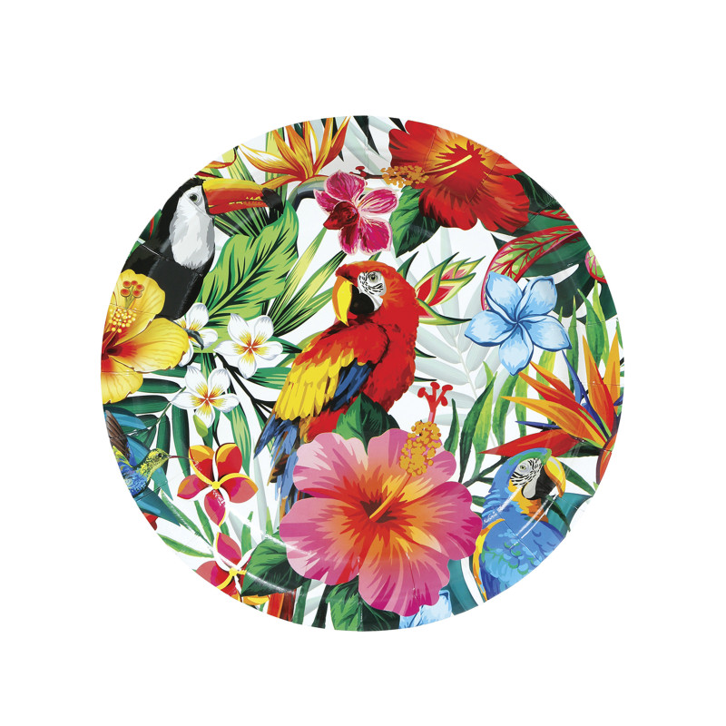 6 Assiettes oiseaux tropicaux 23 cm  
