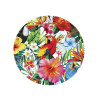 6 Assiettes oiseaux tropicaux 23 cm  