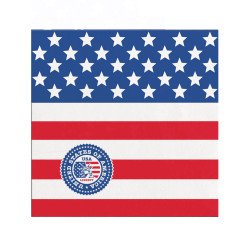 20 Petites serviettes en papier USA  