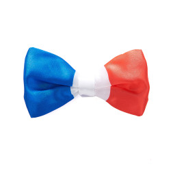 Noeud papillon tricolore France  