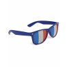 Lunettes supporter avec drapeau France adulte  