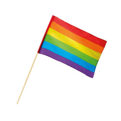 Drapeau Arc-en-ciel 30 X 45 cm  