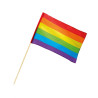 Drapeau Arc-en-ciel 30 X 45 cm  
