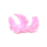 Sachet de 20 plumes de d√©coration roses 5,5 cm  
