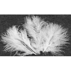 20 plumes de d√©coration blanches 5,5 cm pour mariage  