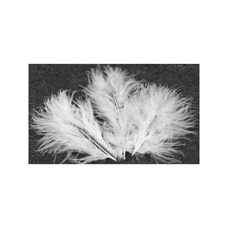 20 plumes de d√©coration blanches 5,5 cm pour mariage  