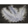 20 plumes de d√©coration grises 5,5 cm pour atelier cr√©atif  