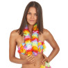Collier fleurs Hawa√Ø multicolore luxe adulte  