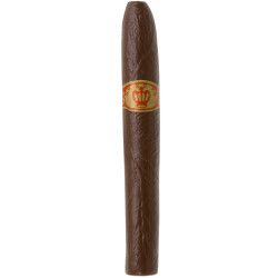 Cigare g√©ant adulte  