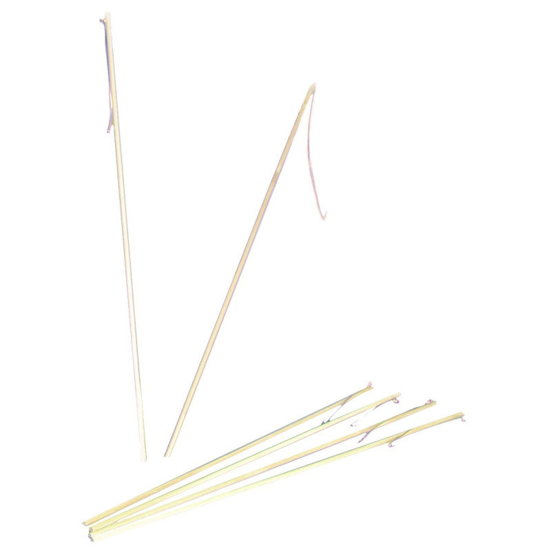 Baton lanterne  