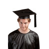 Chapeau d'Etudiant Adulte feutre noir - Déguisement Etudiant Adulte The Duck
