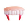 Dentier de Vampire Sanglant - Déguisement vampire adulte halloween the duck 