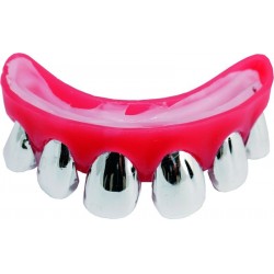 Destockage Dentier Dents en Argent