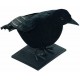 Corbeau Noir avec plumes - Décoration halloween sorcière animaux the duck