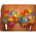 Soutien-gorge Hawaïen Femme - Déguisement hawai carnaval the duck