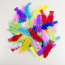 Sachet de 50 Plumes Multicolore